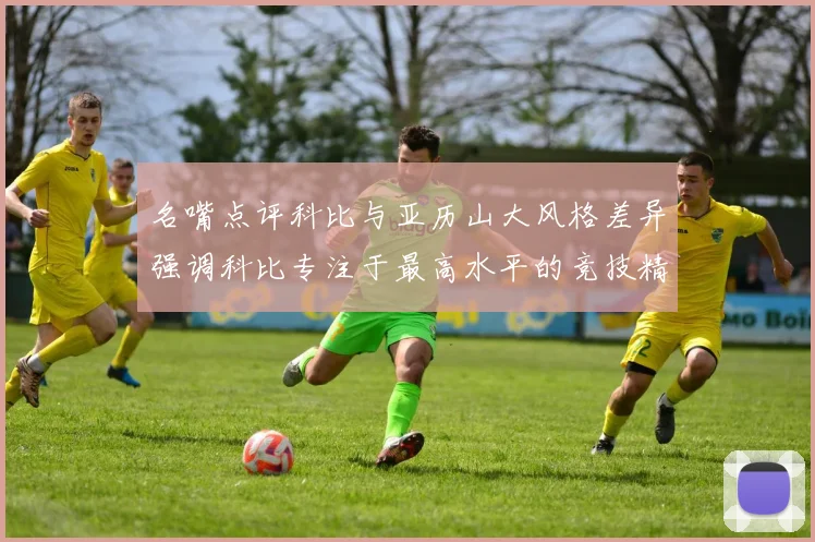 名嘴点评科比与亚历山大风格差异强调科比专注于最高水平的竞技精神