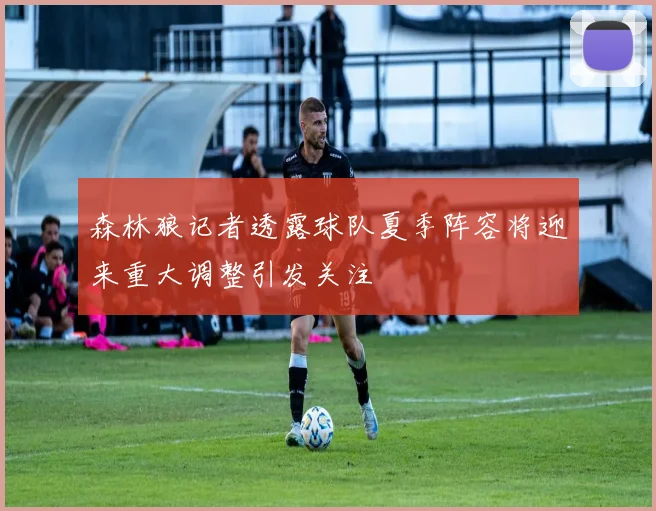 森林狼记者透露球队夏季阵容将迎来重大调整引发关注