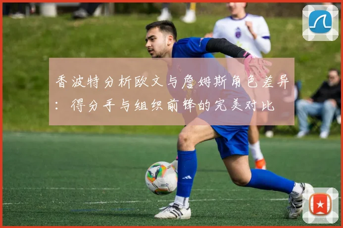 香波特分析欧文与詹姆斯角色差异：得分手与组织前锋的完美对比